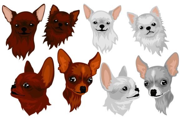 Adorable Chihuahua Dog Head Vector Set