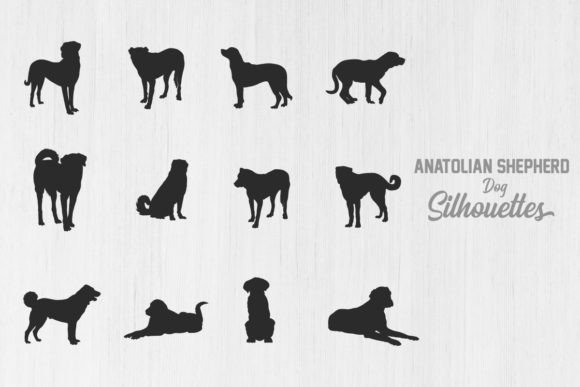 Anatolian Shepherd Dog Silhouettes Review