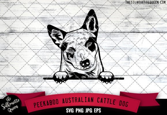 Australian Cattle Peekaboo Dog Face: A Designer's Review