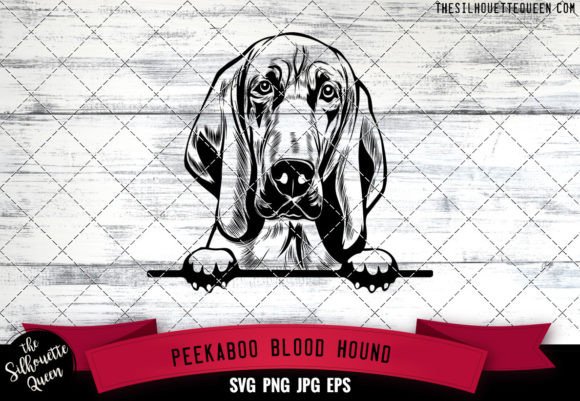Blood Hound Peekaboo Dog Face