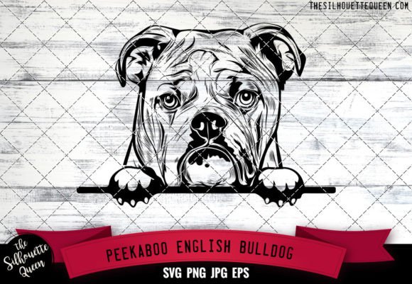 English Bulldog Peekaboo Dog Face