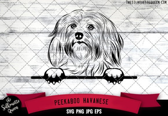 Havanese Peekaboo Dog Face – A Hands-On Designer Review