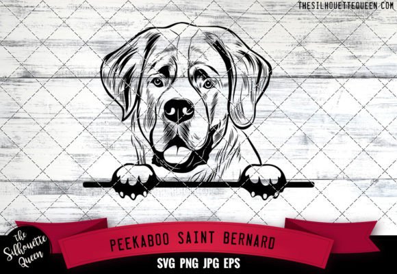 Saint Bernard Peekaboo Dog Face: A Design Review