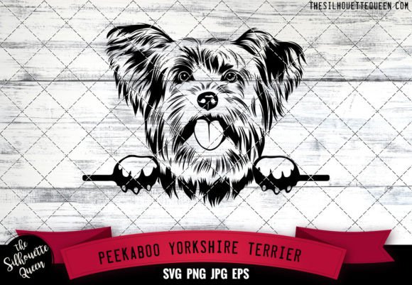 Yorkshire Terrier Peekaboo Dog Face: Real Project Review